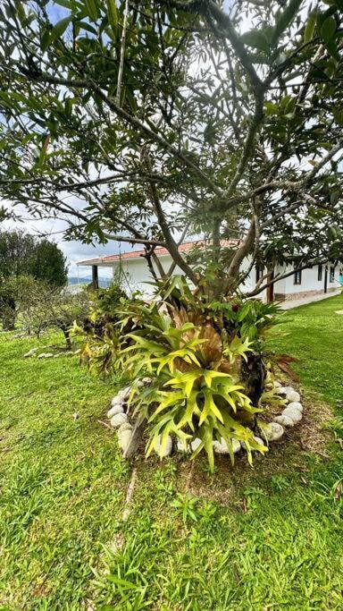 Finca Con Vistas Al Lago Calima Villa Exterior photo